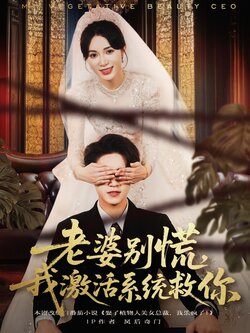 老婆别慌，我激活系统救你封面图