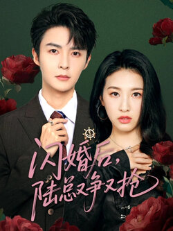 闪婚后陆总又争又抢封面图