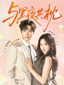 与黑夜共枕 未删减版封面图