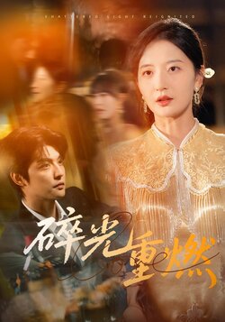 碎光重燃封面图