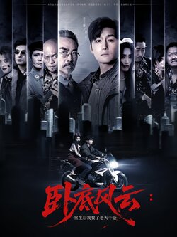 卧底风云：重生后我娶了老大千金封面图