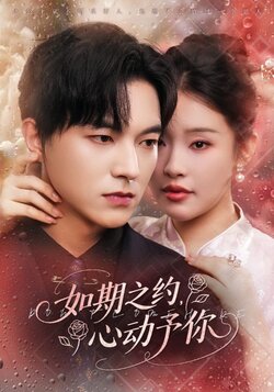 如期之约心动予你封面图