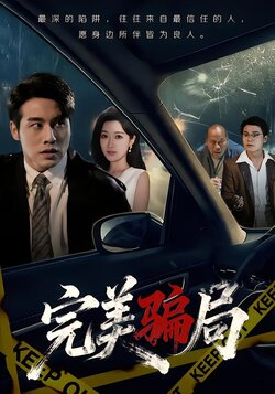 完美骗局封面图