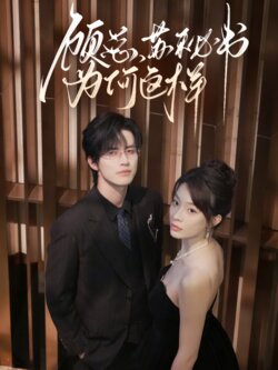 顾总，苏秘书为何这样封面图