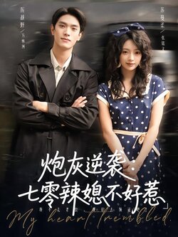 炮灰逆袭：七零辣媳不好惹封面图