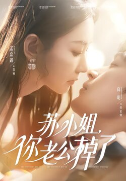 苏小姐，你老公掉了封面图