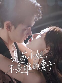 是苏小姐，不是谁的妻子封面图
