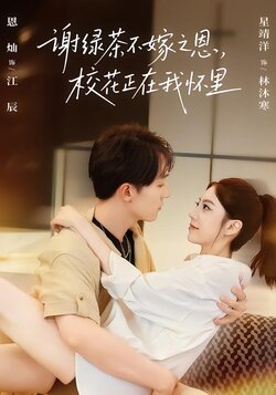 谢绿茶不嫁之恩，校花正在我怀里封面图