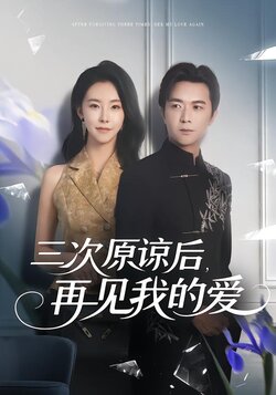 三次原谅后，再见我的爱封面图