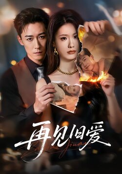 再见旧爱封面图