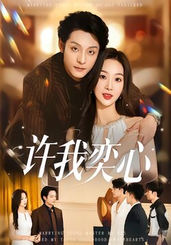 许我弈心封面图