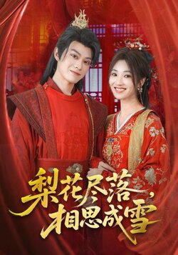 梨花尽落，相思成雪封面图