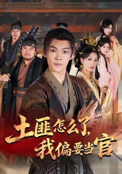 土匪怎么了，我偏要当官封面图