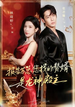 报告苏总，您找的赘婿是龙神殿主封面图