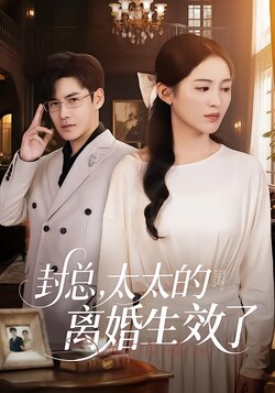 封总，太太的离婚生效了封面图