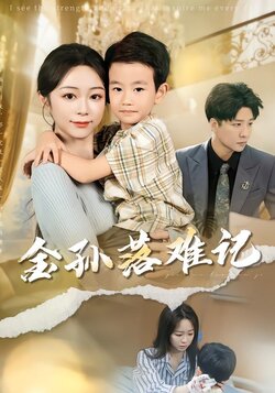 金孙落难记封面图