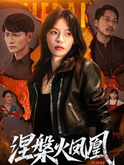 37347涅槃火凤凰封面图