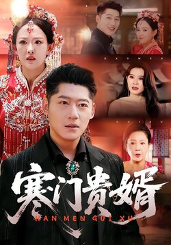 寒门贵婿封面图