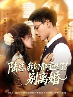 陆总，我们都重生了！别离婚封面图
