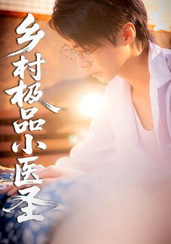 乡村极品小医圣封面图