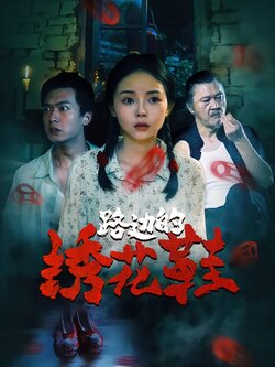 路边的绣花鞋封面图