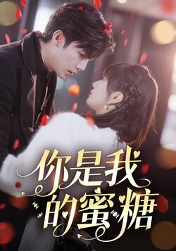 你是我的蜜糖封面图