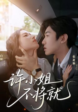 许小姐，不将就封面图