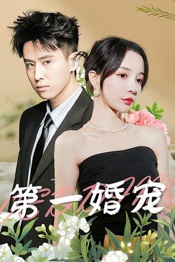 第一婚宠封面图