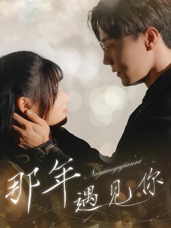 那年遇见你封面图