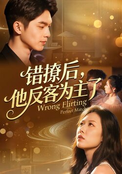 错撩后，他反客为主了封面图