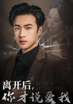 离开后，你才说爱我封面图