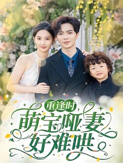 重逢时，萌宝哑妻好难哄封面图