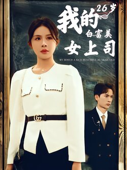 我的26岁白富美女上司封面图