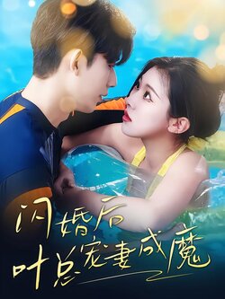 闪婚后叶总宠妻成魔封面图