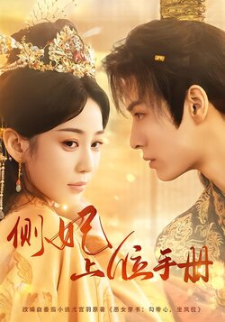 侧妃上位手册封面图