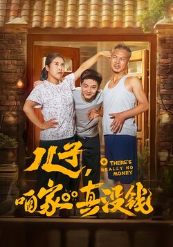 儿子，咱家真没钱封面图