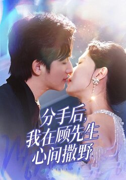 分手后，我在顾先生心间撒野封面图