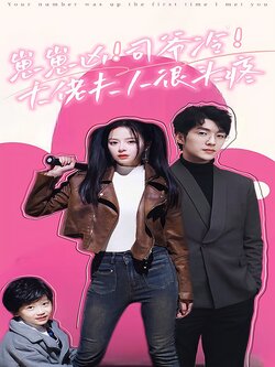 崽崽凶！司爷冷！大佬夫人很头疼封面图