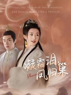 凝霜泪，凤归巢封面图