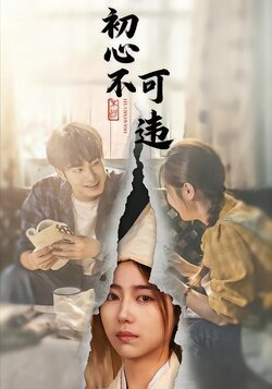 初心不可违封面图