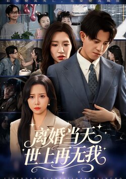 离婚当天，世上再无我封面图