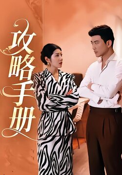 攻略手册封面图