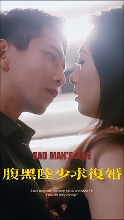 腹黑陆少求复婚封面图