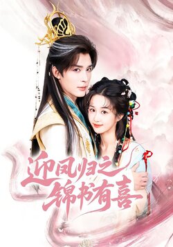 迎凤归之锦书有喜封面图