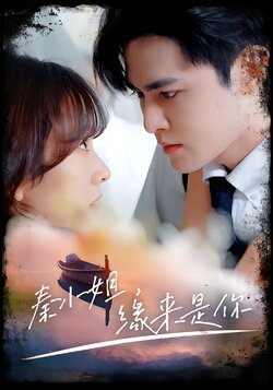 秦小姐，缘来是你封面图