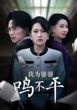 我为婆婆鸣不平封面图