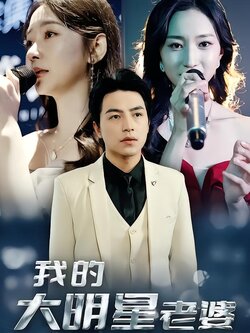 我的大明星老婆封面图