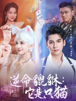 逆命貔貅：它是只猫封面图