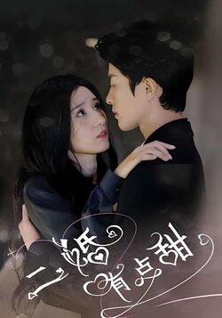 二婚有点甜封面图