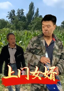 上门女婿封面图